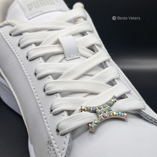 Stijlvol zilver schoenveter gespen met multikleur diamanten