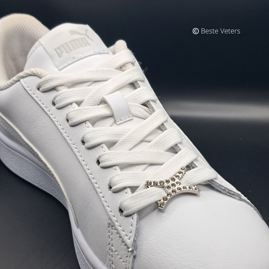 Stijlvol zilver schoenveter gespen met witte diamanten