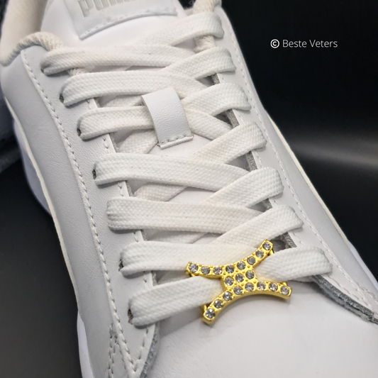 Stijlvol goud schoenveter gespen met witte diamanten