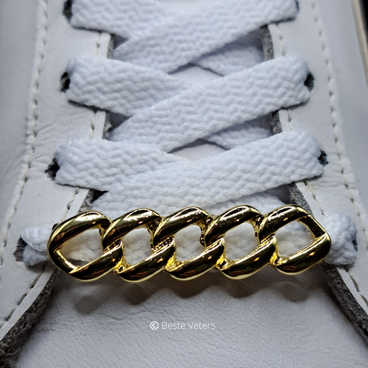 Luxe schoenveters gespen met vis graat