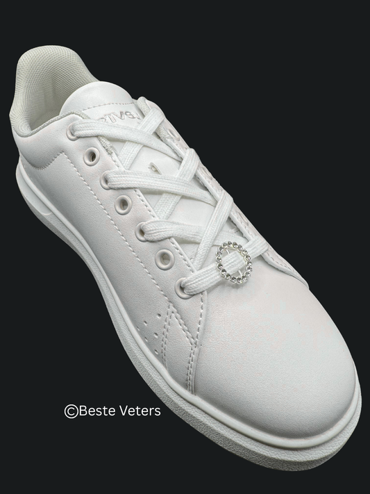 Stijlvol zilver rond schoenveter gespen met diamanten