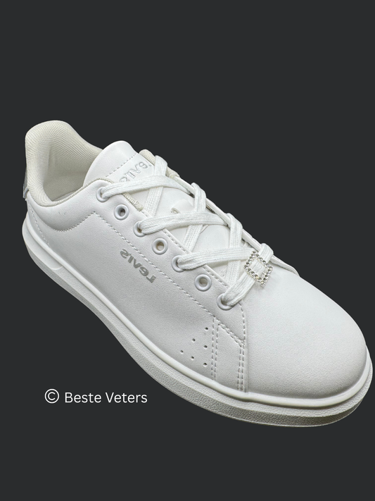 Stijlvol zilver vierkant schoenveter gespen met diamanten