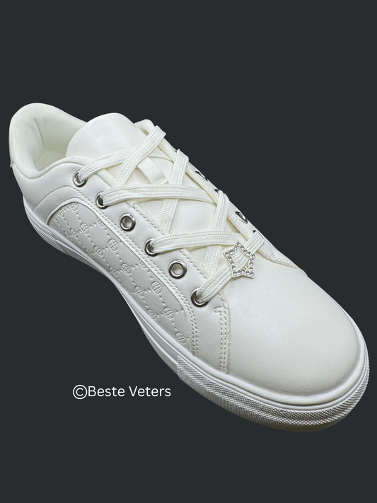 Stijlvol zilver ster schoenveter gespen met diamanten