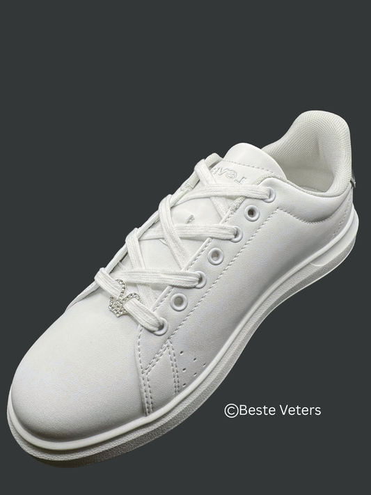 Stijlvol zilver kroon schoenveter gespen met diamanten