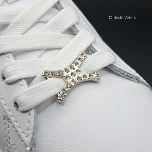 Stijlvol zilver schoenveter gespen met witte diamanten