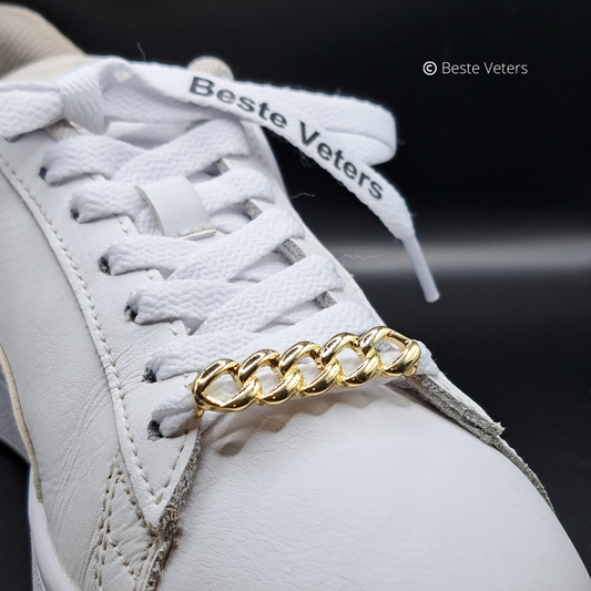 Luxe schoenveters gespen met vis graat