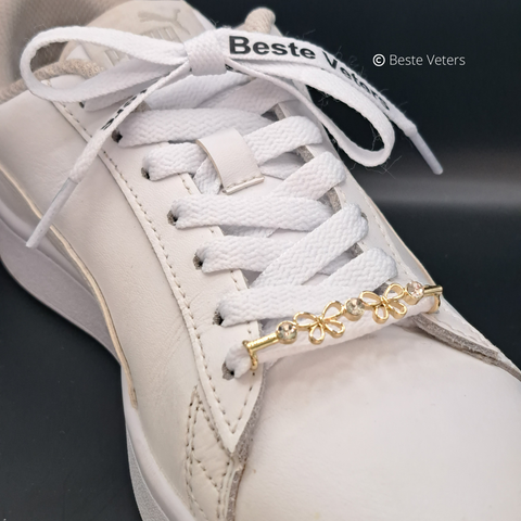 Luxe schoenveters gespen met vlinder en diamanten
