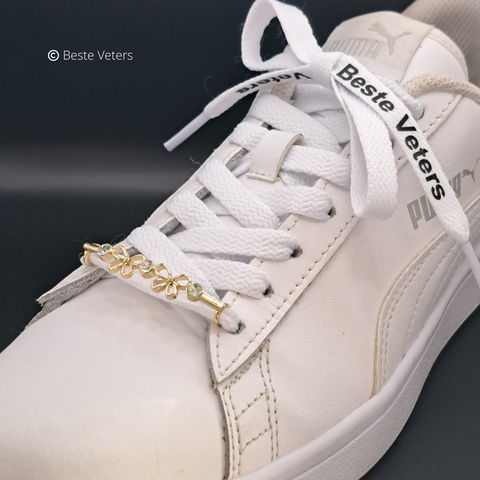 Luxe schoenveters gespen met vlinder en diamanten