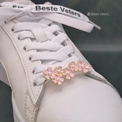 Luxe schoenveters gespen met roze bloemen