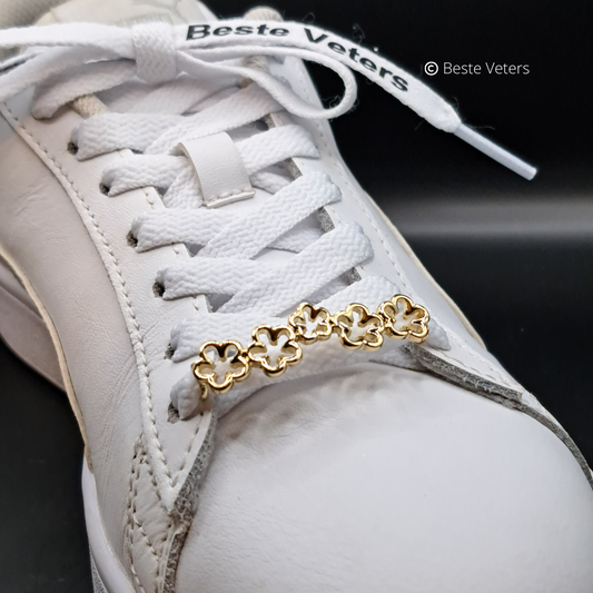 Luxe schoenveters gespen met bloemen